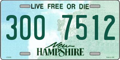 NH license plate 3007512