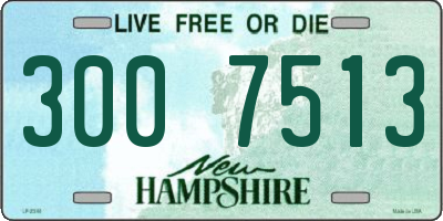 NH license plate 3007513