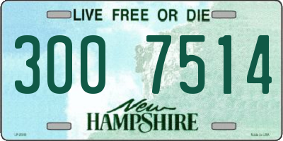NH license plate 3007514