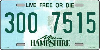 NH license plate 3007515