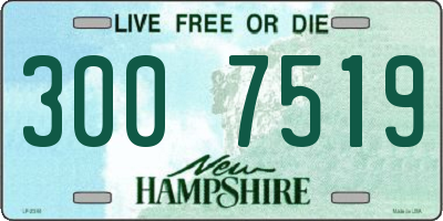 NH license plate 3007519