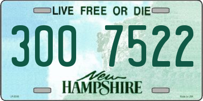 NH license plate 3007522