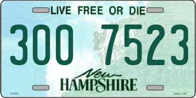 NH license plate 3007523