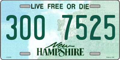 NH license plate 3007525