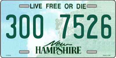 NH license plate 3007526