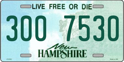 NH license plate 3007530