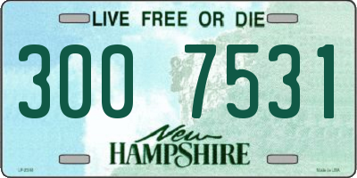 NH license plate 3007531