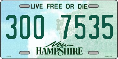 NH license plate 3007535