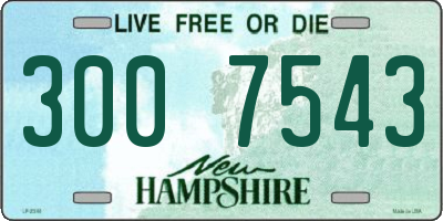 NH license plate 3007543