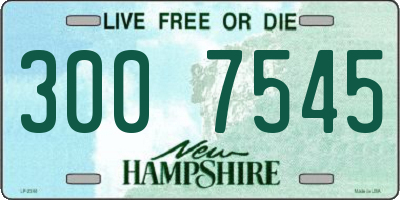 NH license plate 3007545