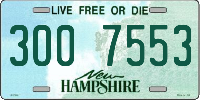 NH license plate 3007553