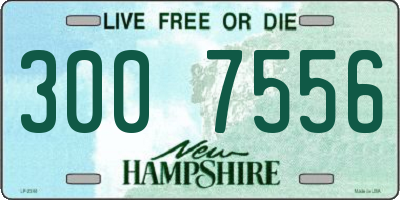 NH license plate 3007556