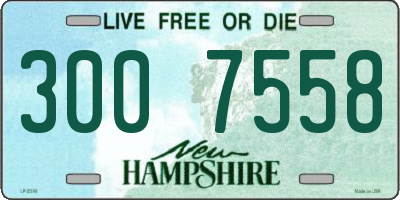 NH license plate 3007558