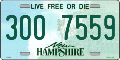 NH license plate 3007559