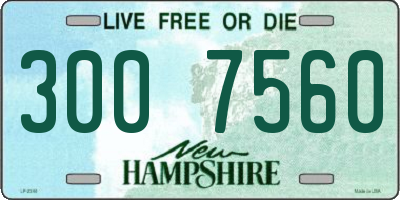 NH license plate 3007560