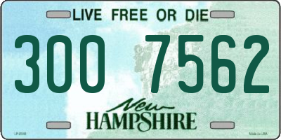 NH license plate 3007562