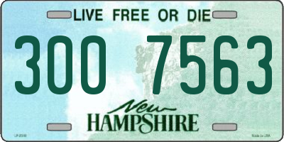 NH license plate 3007563