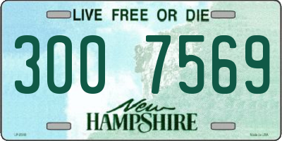 NH license plate 3007569