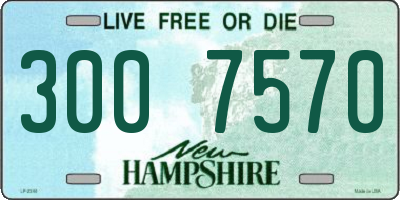 NH license plate 3007570