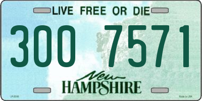 NH license plate 3007571
