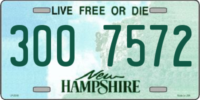 NH license plate 3007572