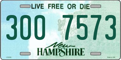 NH license plate 3007573