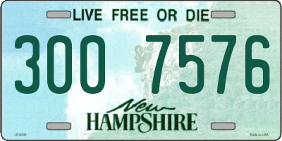 NH license plate 3007576
