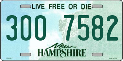 NH license plate 3007582