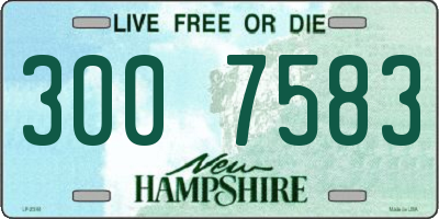 NH license plate 3007583