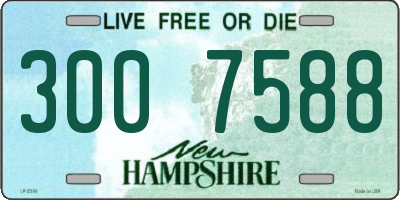 NH license plate 3007588