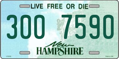 NH license plate 3007590