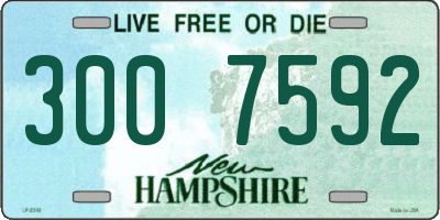 NH license plate 3007592