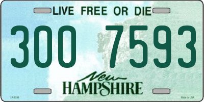 NH license plate 3007593