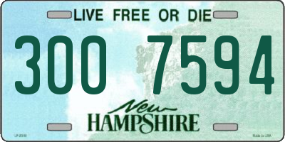 NH license plate 3007594