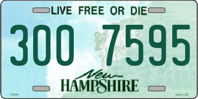 NH license plate 3007595
