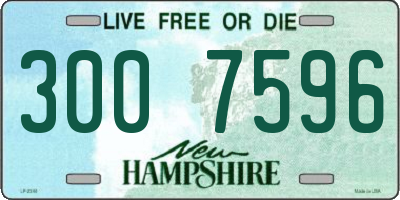 NH license plate 3007596
