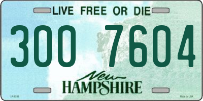 NH license plate 3007604