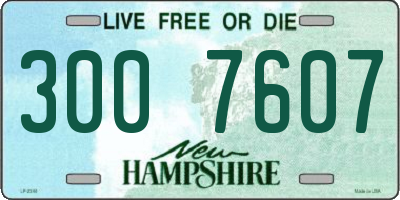 NH license plate 3007607