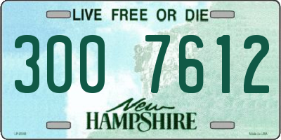 NH license plate 3007612