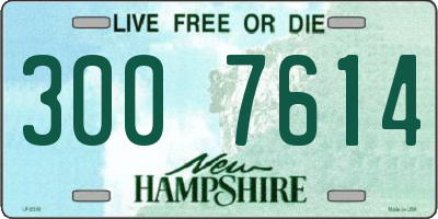 NH license plate 3007614