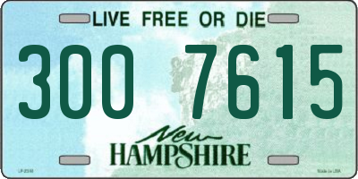 NH license plate 3007615