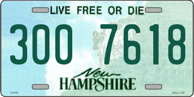 NH license plate 3007618