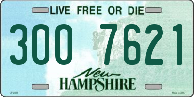 NH license plate 3007621