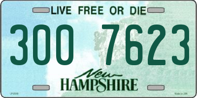 NH license plate 3007623