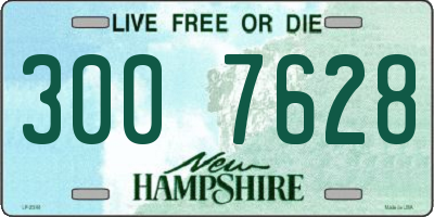 NH license plate 3007628
