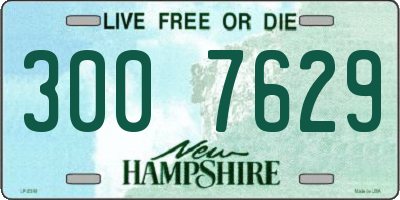 NH license plate 3007629