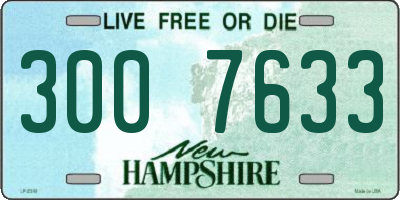 NH license plate 3007633