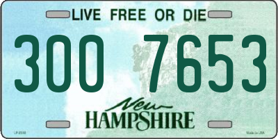 NH license plate 3007653