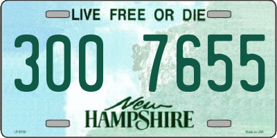 NH license plate 3007655