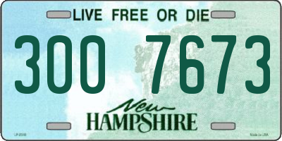 NH license plate 3007673